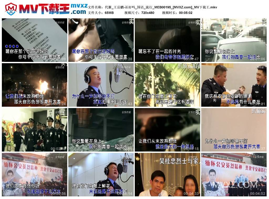 代雁_王岳鹏-还好吗_国语_流行_MEB00195